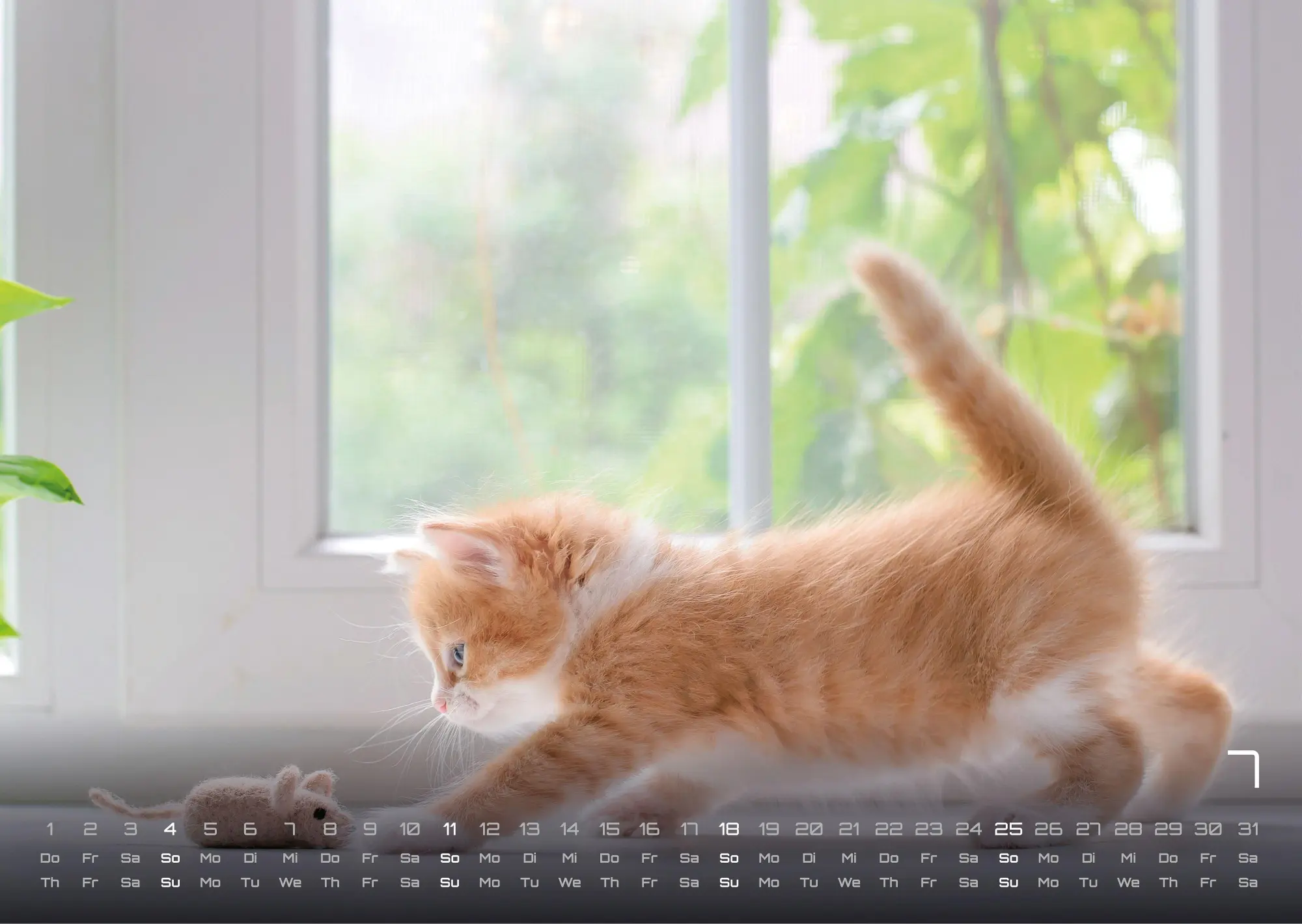 Bild: 9783986736408 | Miau Kids - kleine Tiger ganz groß - Der Katzenkalender - 2027 -...