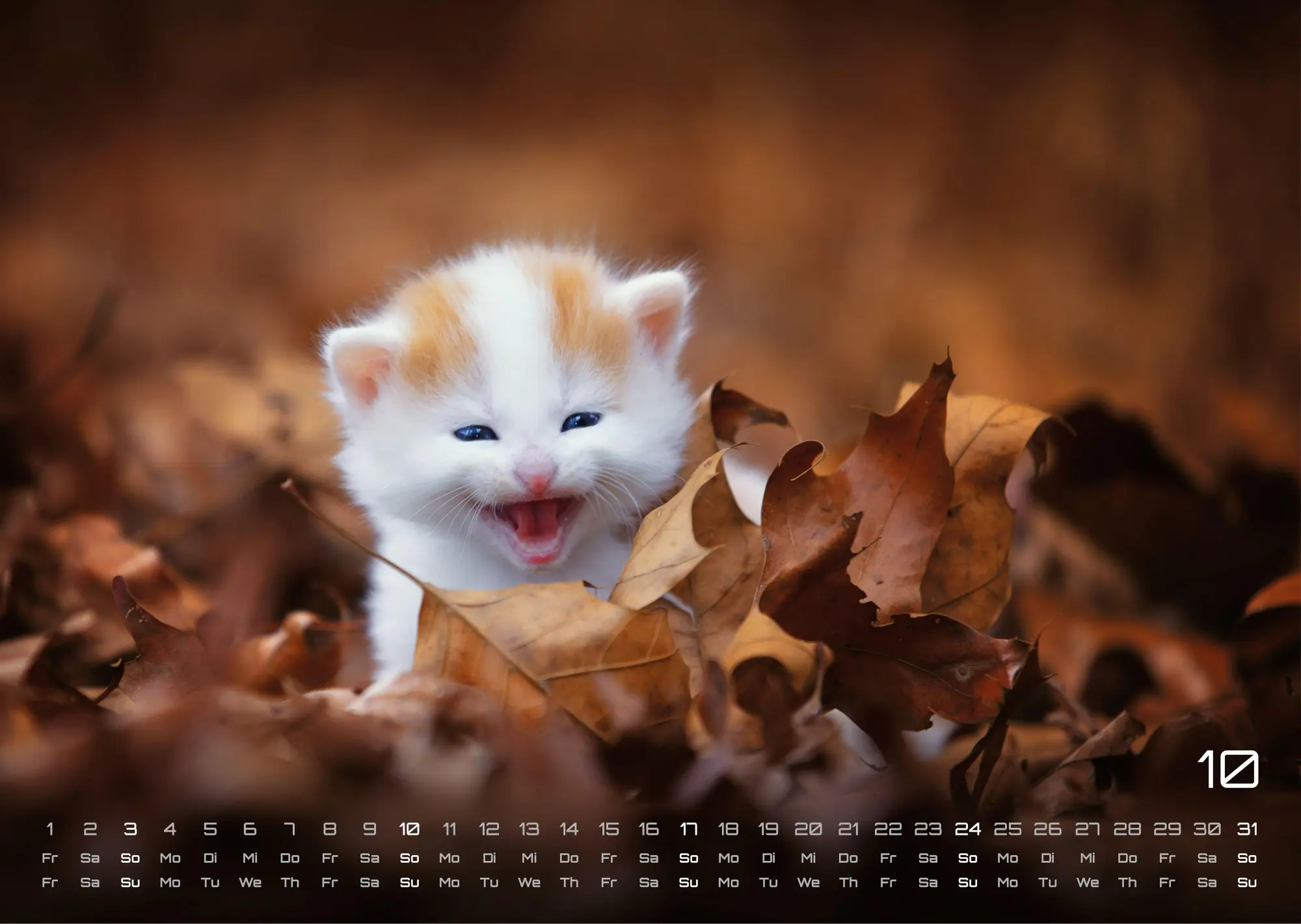 Bild: 9783986736408 | Miau Kids - kleine Tiger ganz groß - Der Katzenkalender - 2027 -...