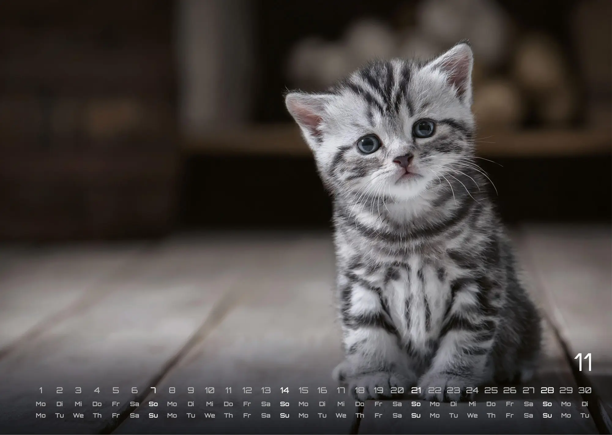 Bild: 9783986736408 | Miau Kids - kleine Tiger ganz groß - Der Katzenkalender - 2027 -...