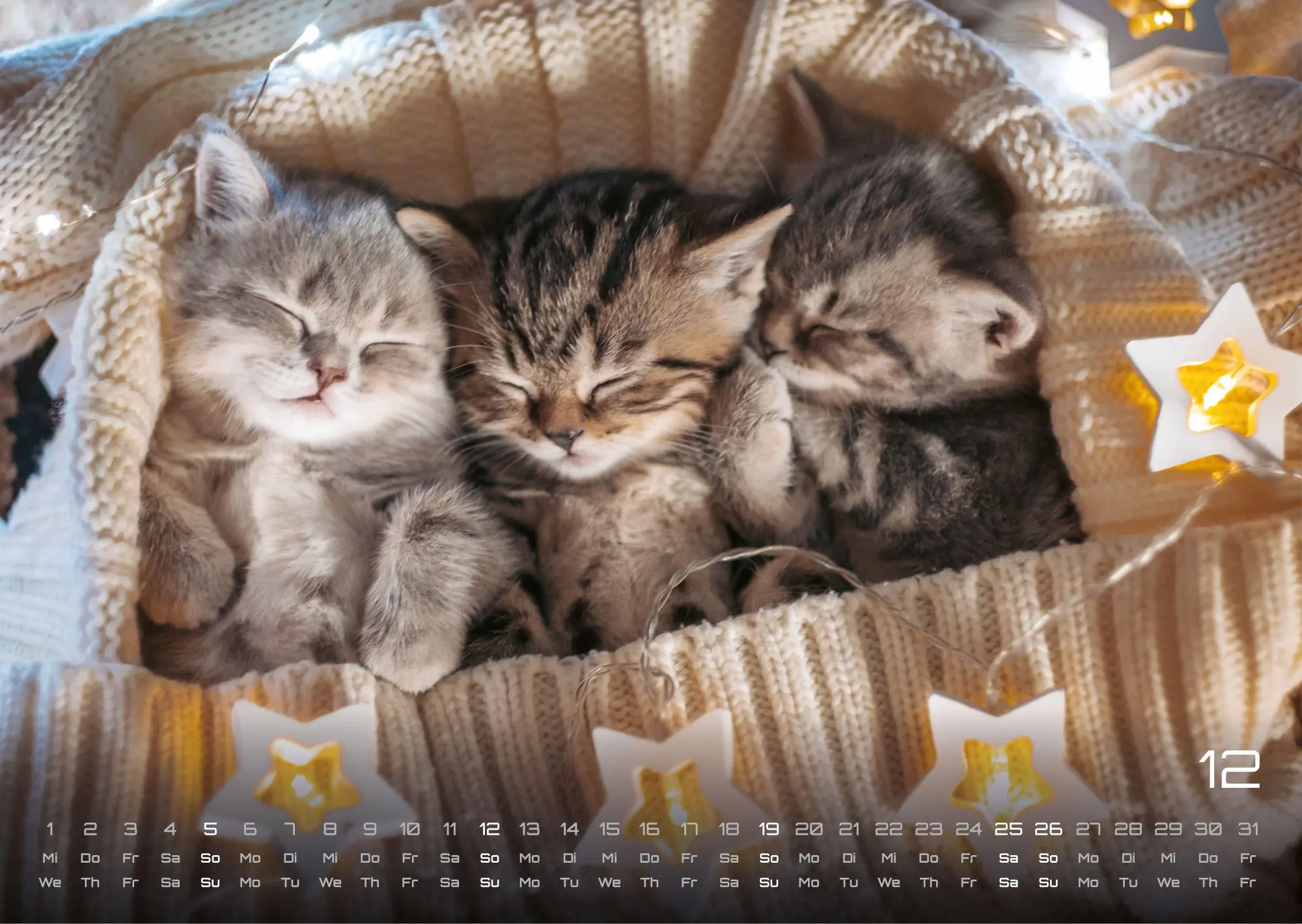 Bild: 9783986736408 | Miau Kids - kleine Tiger ganz groß - Der Katzenkalender - 2027 -...