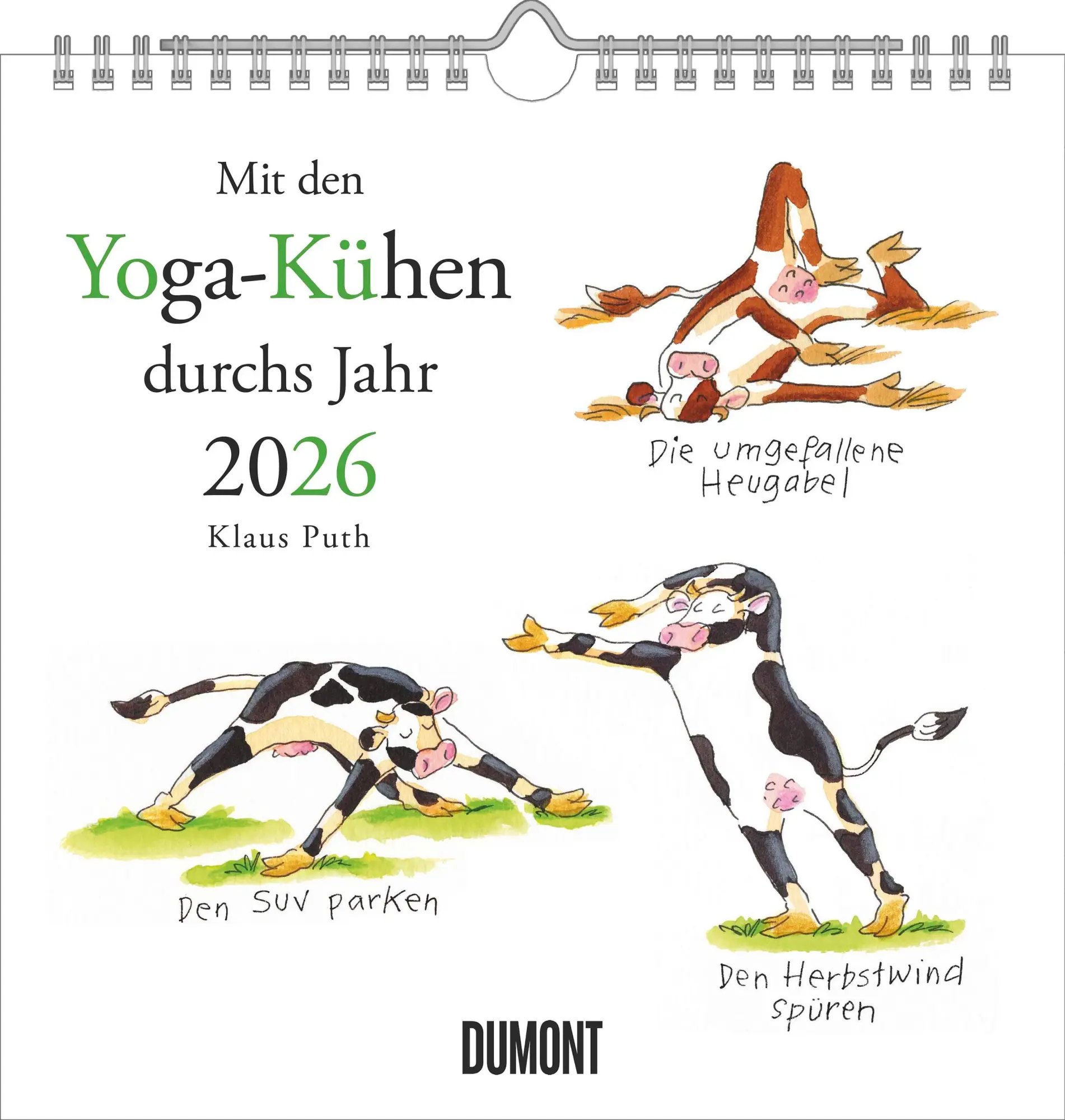 Cover: 4069095006508 | Mit den Yoga-Kühen durchs Jahr 2026 - Wandkalender - Quadratformat...