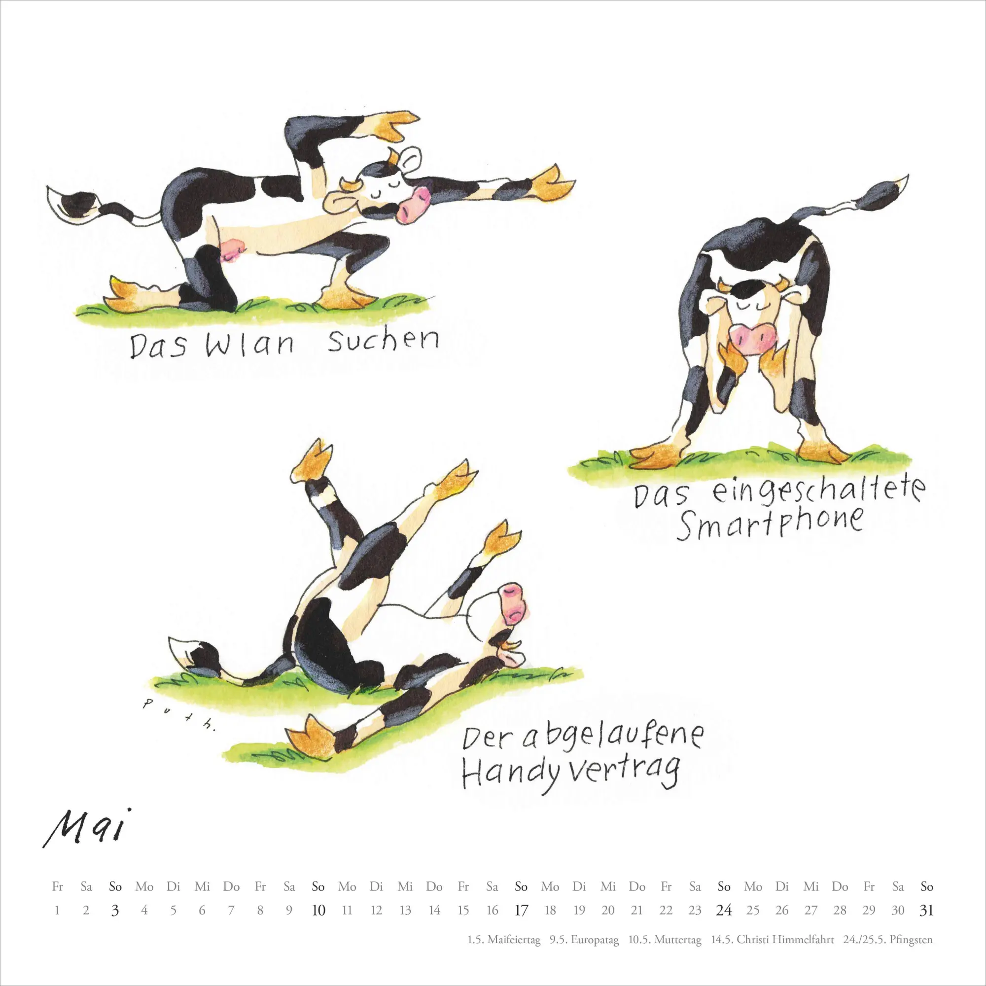 Bild: 4069095006508 | Mit den Yoga-Kühen durchs Jahr 2026 - Wandkalender - Quadratformat...