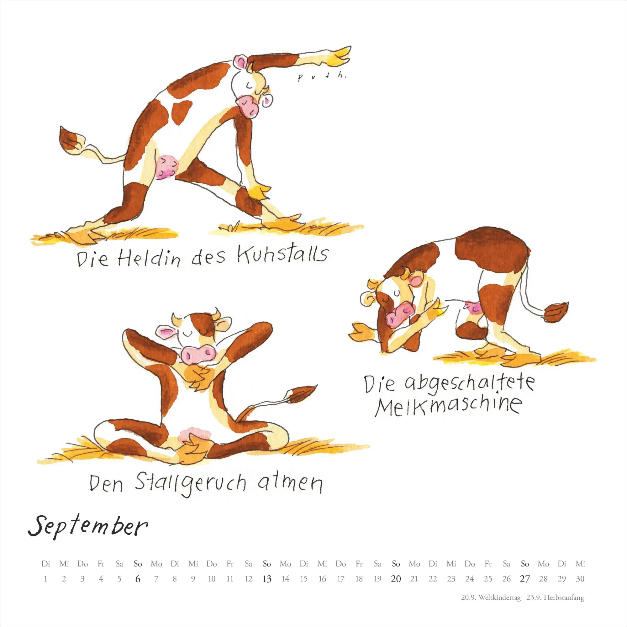 Bild: 4069095006508 | Mit den Yoga-Kühen durchs Jahr 2026 - Wandkalender - Quadratformat...
