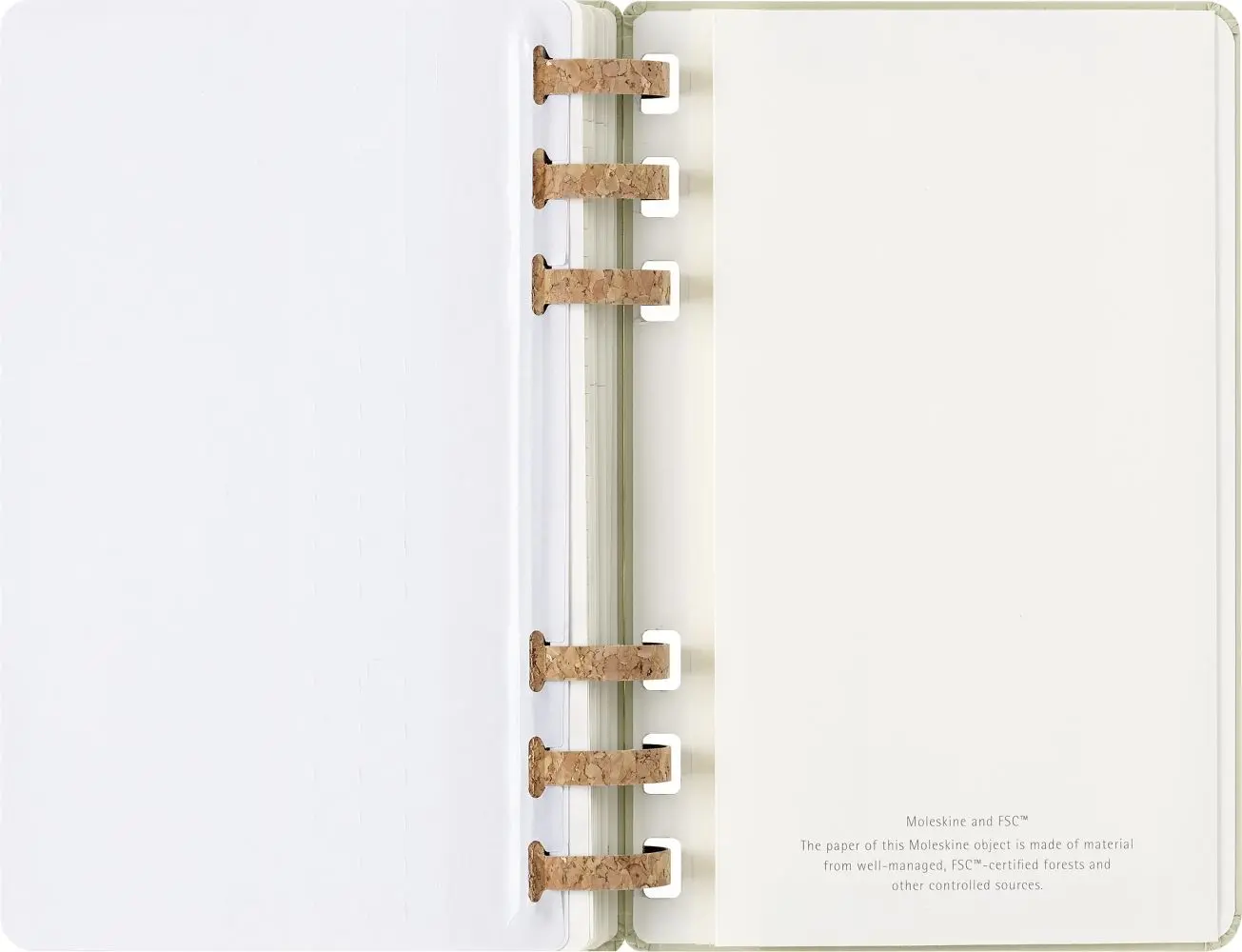 Bild: 8056999276508 | Moleskine 12 Monate Studienplaner mit Spiralbindung, L/A5, Fester...