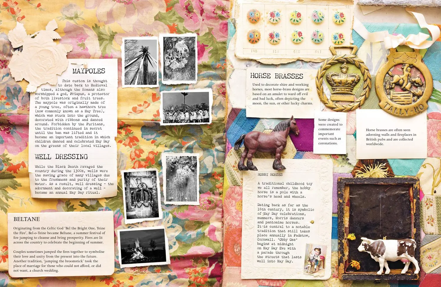Bild: 9780008726508 | A Curiosity of Folklore, Magic and Spells | Portelli (u. a.) | Buch