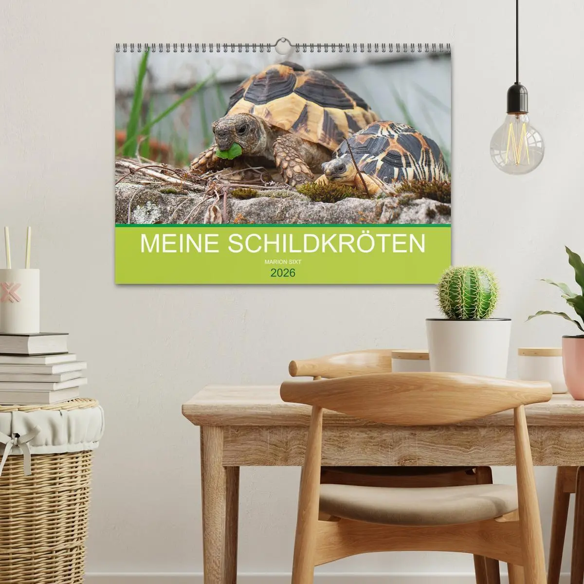 Bild: 9783457826508 | Meine Schildkröten (Wandkalender 2026 DIN A3 quer), CALVENDO...