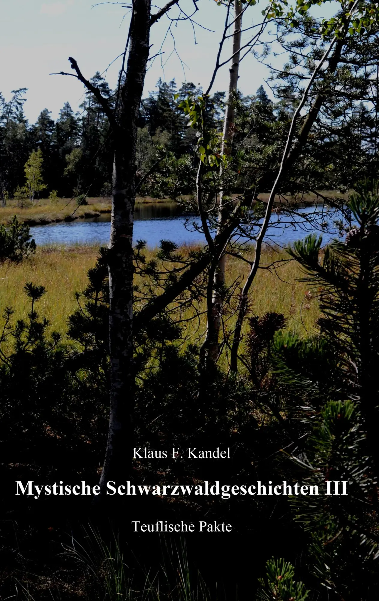 Cover: 9783738606508 | Mystische Schwarzwaldgeschichten III | Teuflische Pakte | Kandel