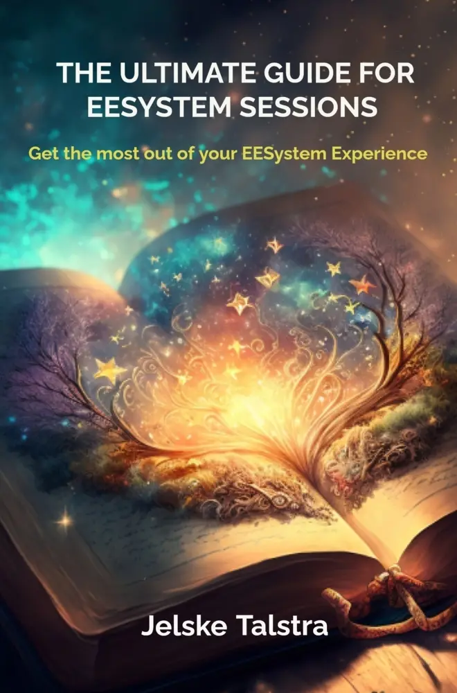 Cover: 9789403906508 | The Ultimate Guide for EESystem Sessions | Jelske Talstra | Buch