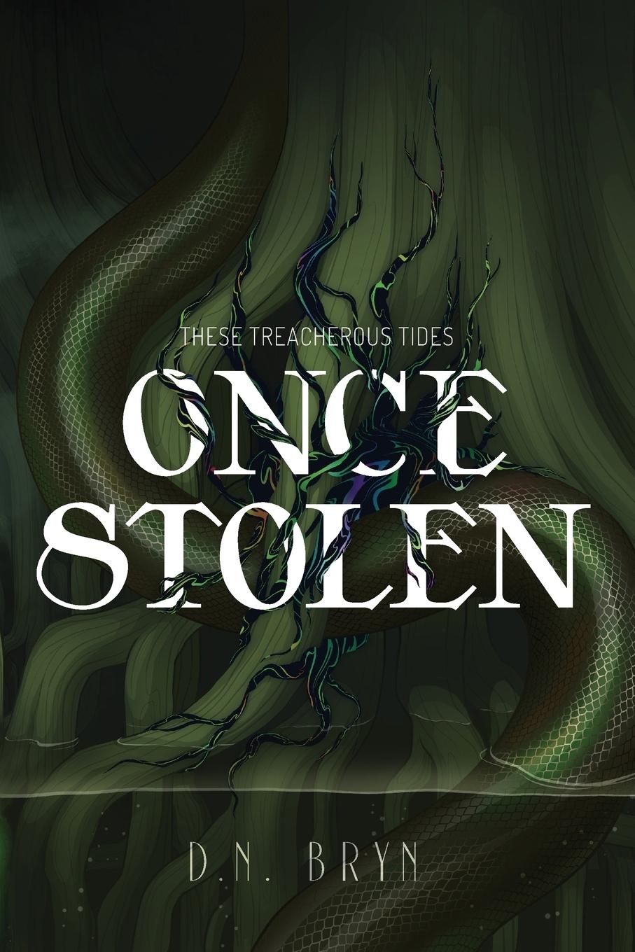 Cover: 9781736296608 | Once Stolen | D. N. Bryn | Taschenbuch | Englisch | 2021 | Bryn Books