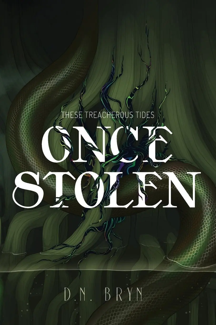 Cover: 9781736296608 | Once Stolen | D. N. Bryn | Taschenbuch | Englisch | 2021 | Bryn Books