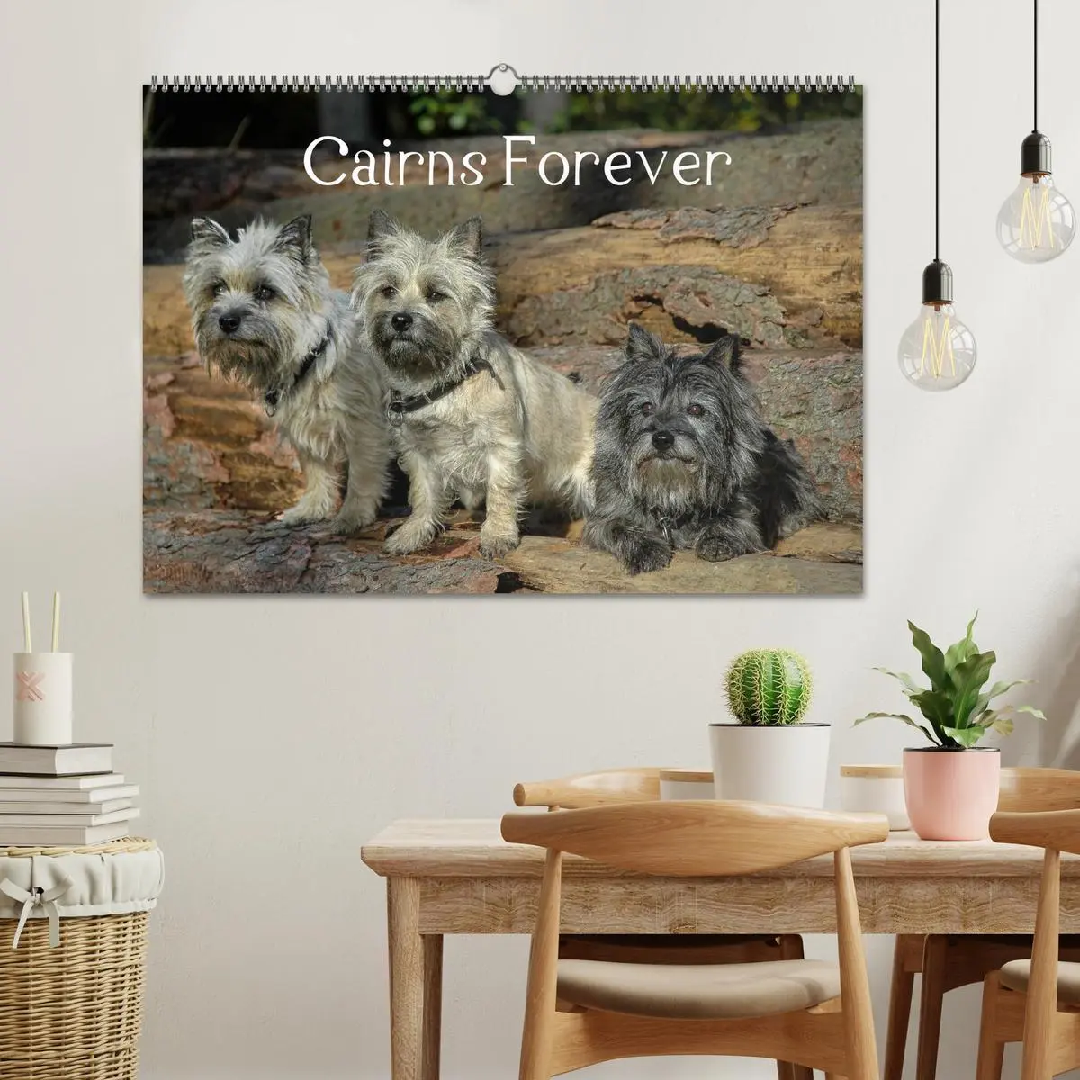 Bild: 9783457986608 | Cairns Forever (Wandkalender 2026 DIN A2 quer), CALVENDO...