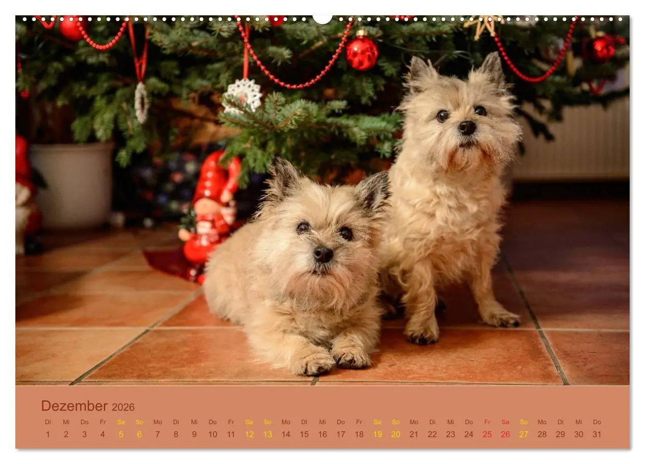 Bild: 9783457986608 | Cairns Forever (Wandkalender 2026 DIN A2 quer), CALVENDO...