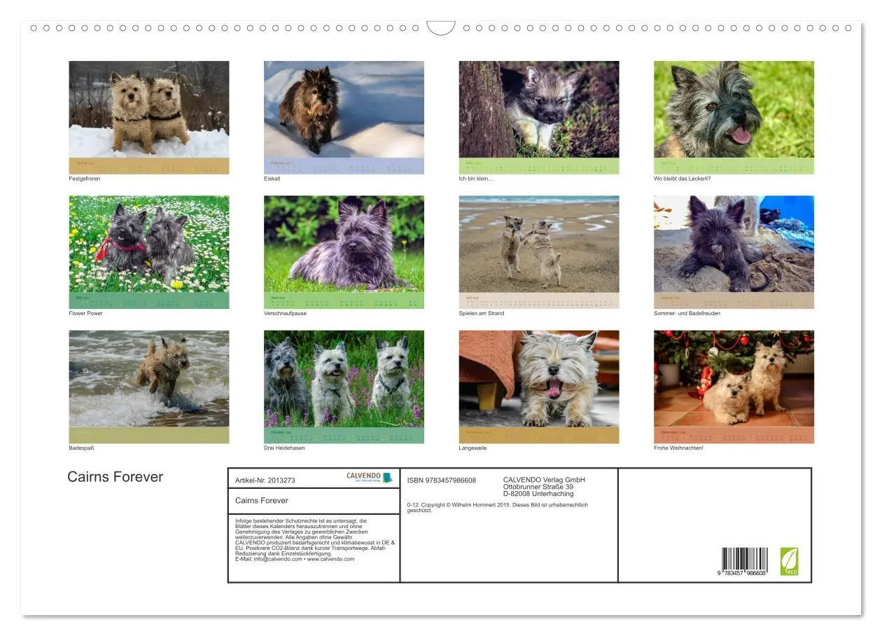 Bild: 9783457986608 | Cairns Forever (Wandkalender 2026 DIN A2 quer), CALVENDO...