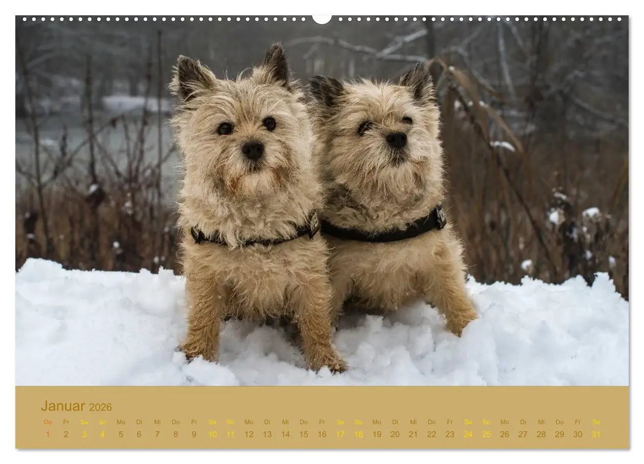 Bild: 9783457986608 | Cairns Forever (Wandkalender 2026 DIN A2 quer), CALVENDO...