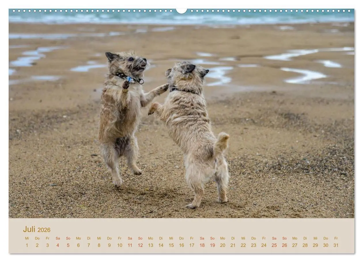 Bild: 9783457986608 | Cairns Forever (Wandkalender 2026 DIN A2 quer), CALVENDO...
