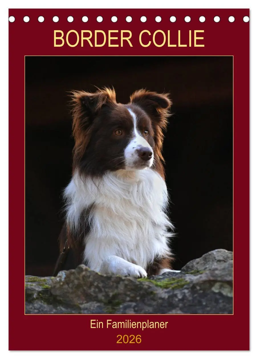 Cover: 9783516386608 | Border Collie - Ein Familienplaner (Tischkalender 2026 DIN A5...