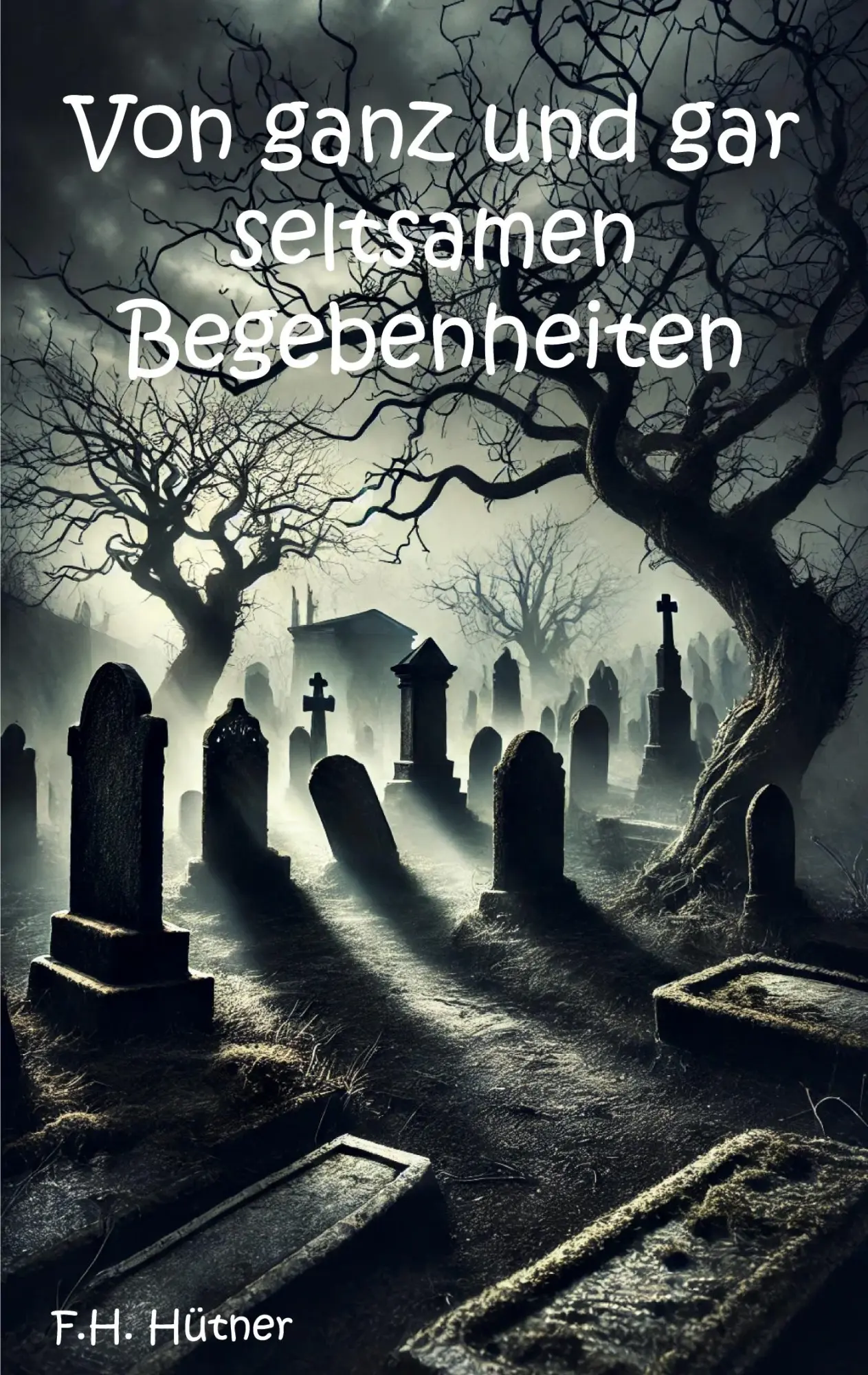 Cover: 9783988856708 | Von ganz und gar seltsamen Begebenheiten | F. H. Hütner | Taschenbuch