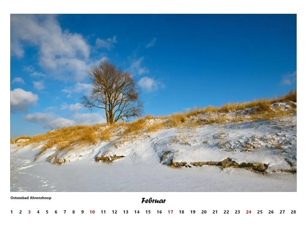 Bild: 9783000306808 | Fischland - Darß - Zingst Kalender 2026 (groß) | Volker Schrader