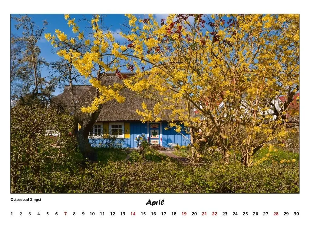 Bild: 9783000306808 | Fischland - Darß - Zingst Kalender 2026 (groß) | Volker Schrader