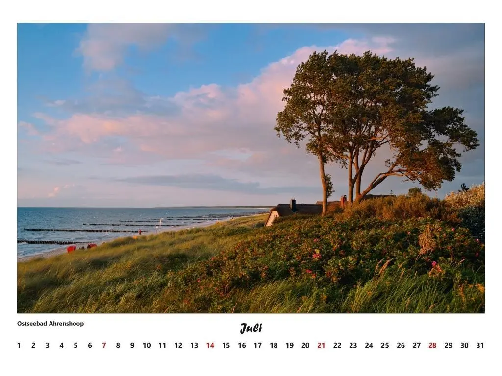 Bild: 9783000306808 | Fischland - Darß - Zingst Kalender 2026 (groß) | Volker Schrader