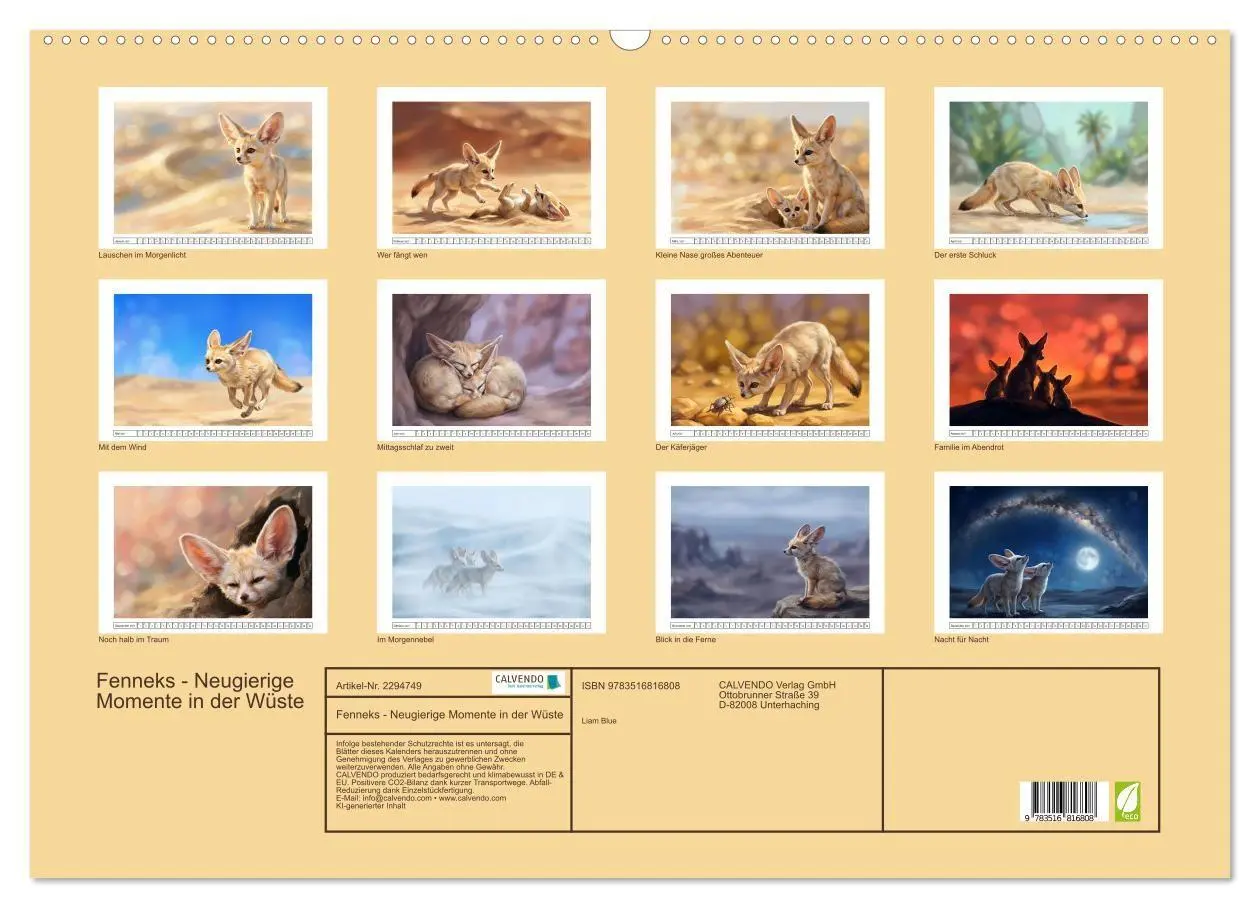 Bild: 9783516816808 | Fenneks - Neugierige Momente in der Wüste (Wandkalender 2027 DIN A2...