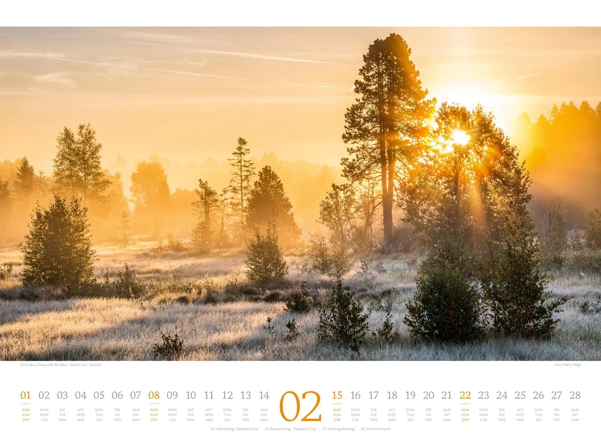 Bild: 9783838426808 | Harmonie Kalender 2026 | Ackermann Kunstverlag GmbH | Kalender | 14 S.