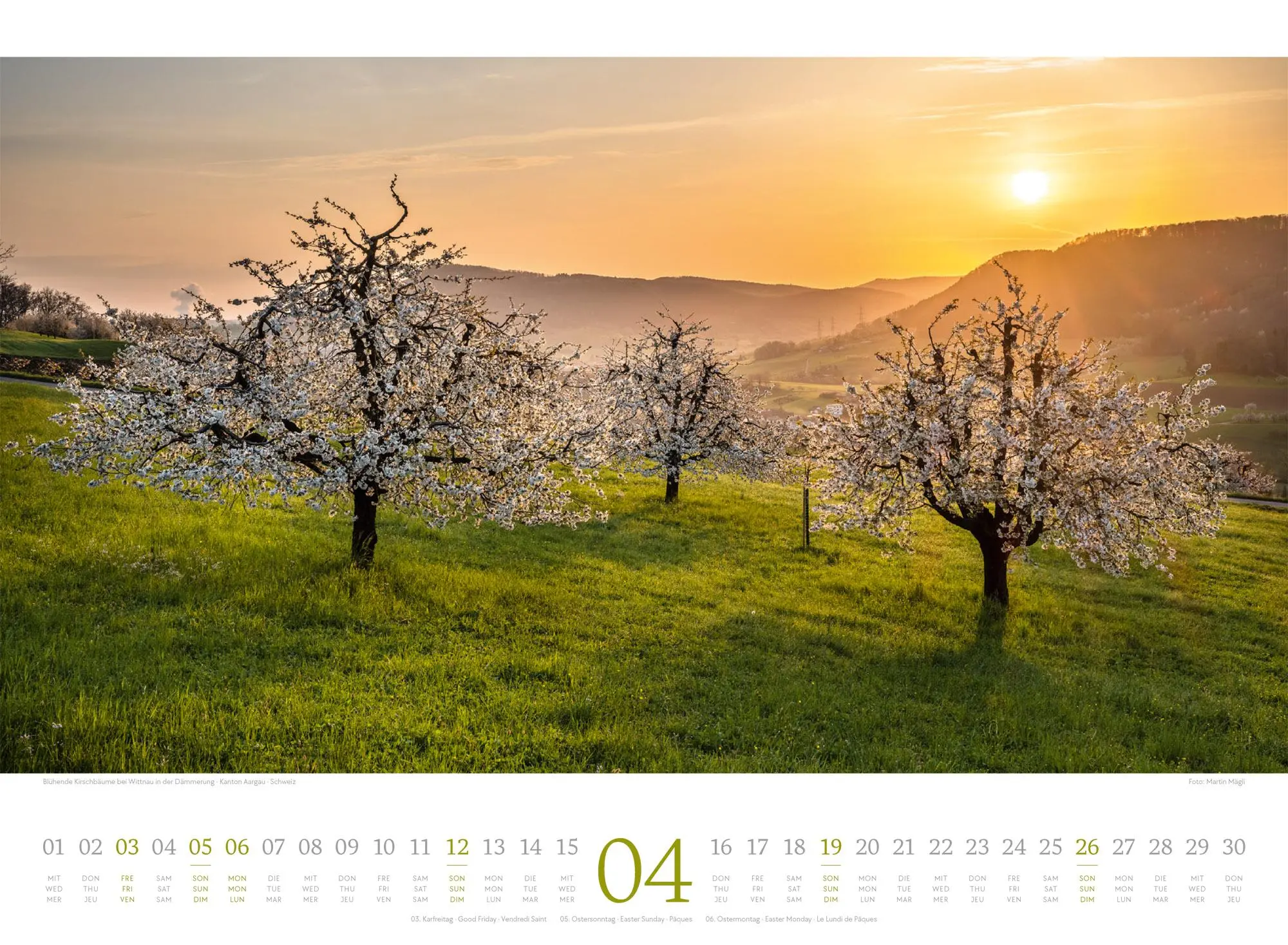 Bild: 9783838426808 | Harmonie Kalender 2026 | Ackermann Kunstverlag GmbH | Kalender | 14 S.