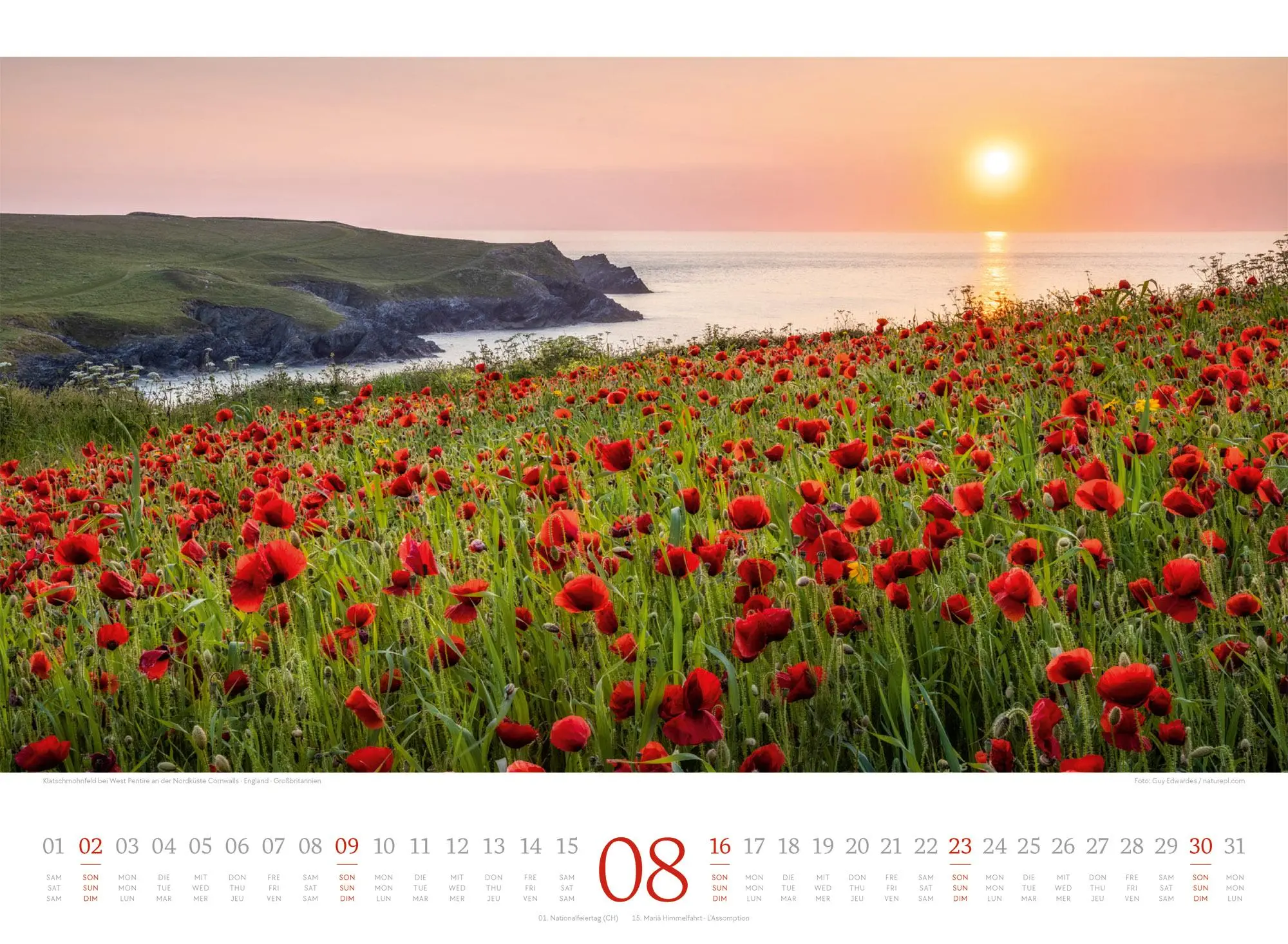 Bild: 9783838426808 | Harmonie Kalender 2026 | Ackermann Kunstverlag GmbH | Kalender | 14 S.
