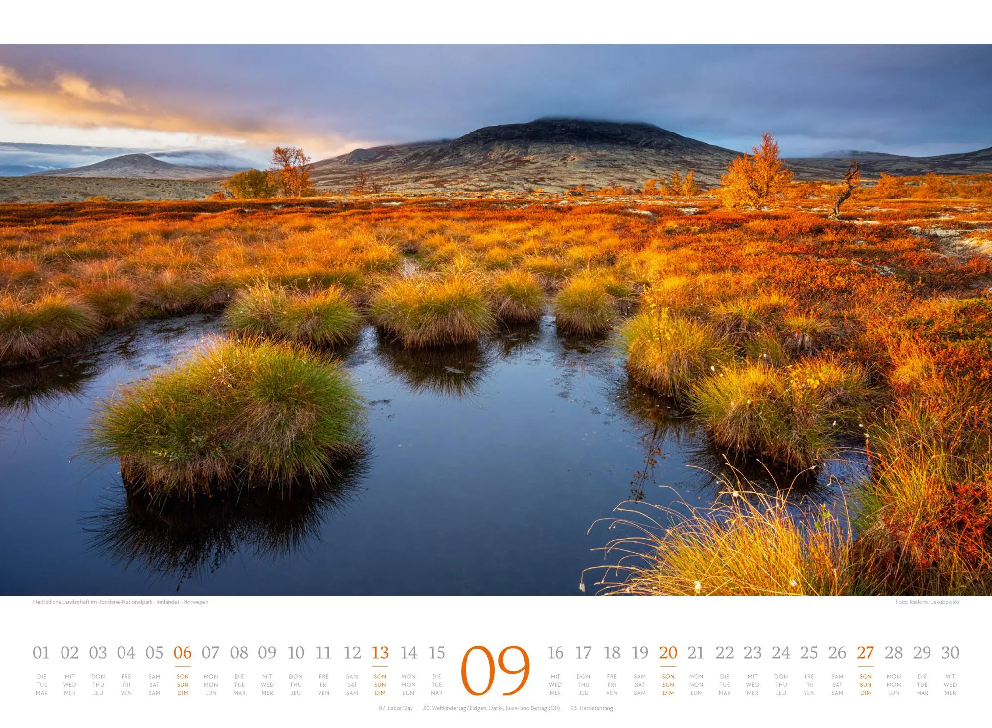 Bild: 9783838426808 | Harmonie Kalender 2026 | Ackermann Kunstverlag GmbH | Kalender | 14 S.