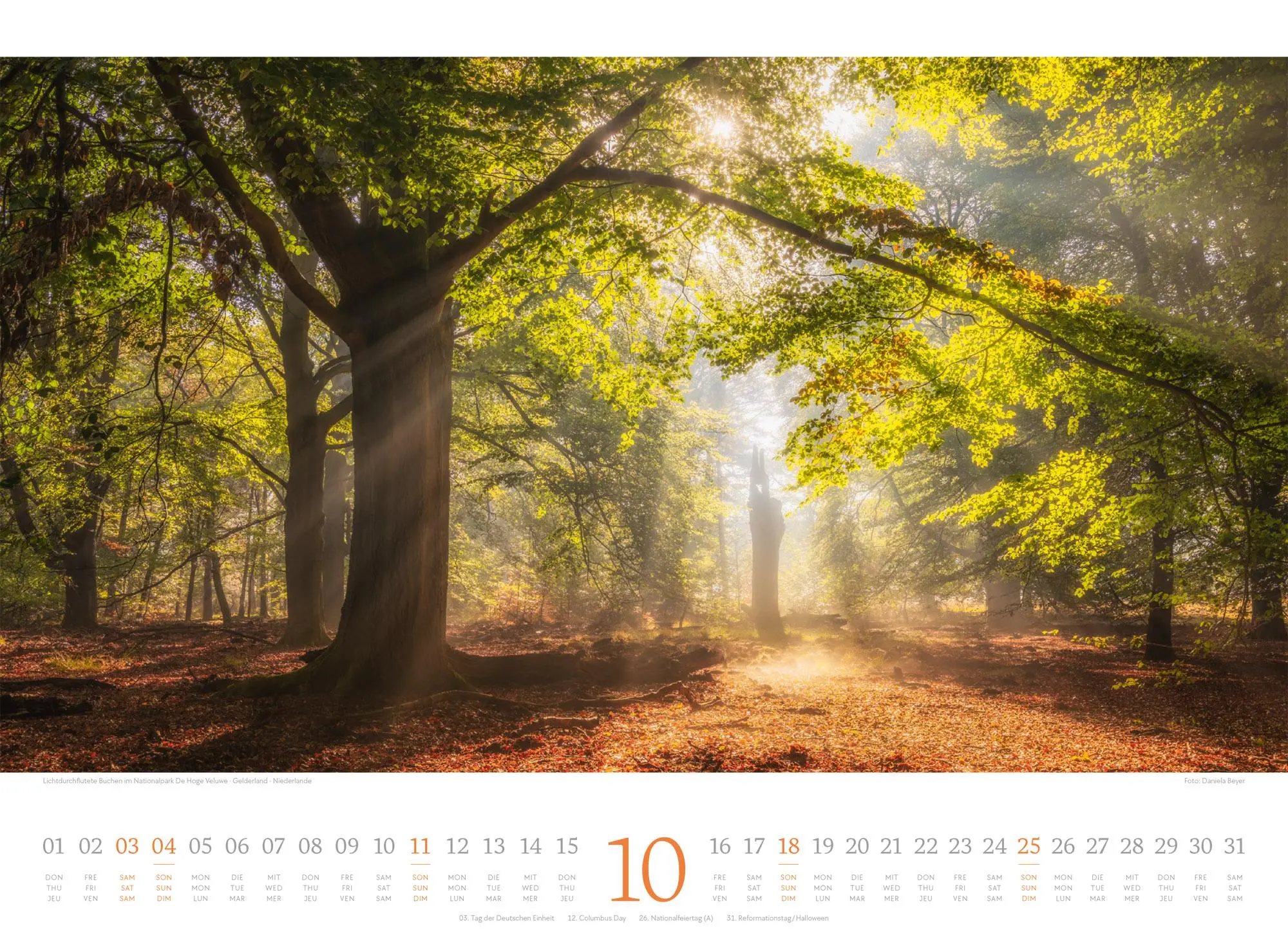 Bild: 9783838426808 | Harmonie Kalender 2026 | Ackermann Kunstverlag GmbH | Kalender | 14 S.
