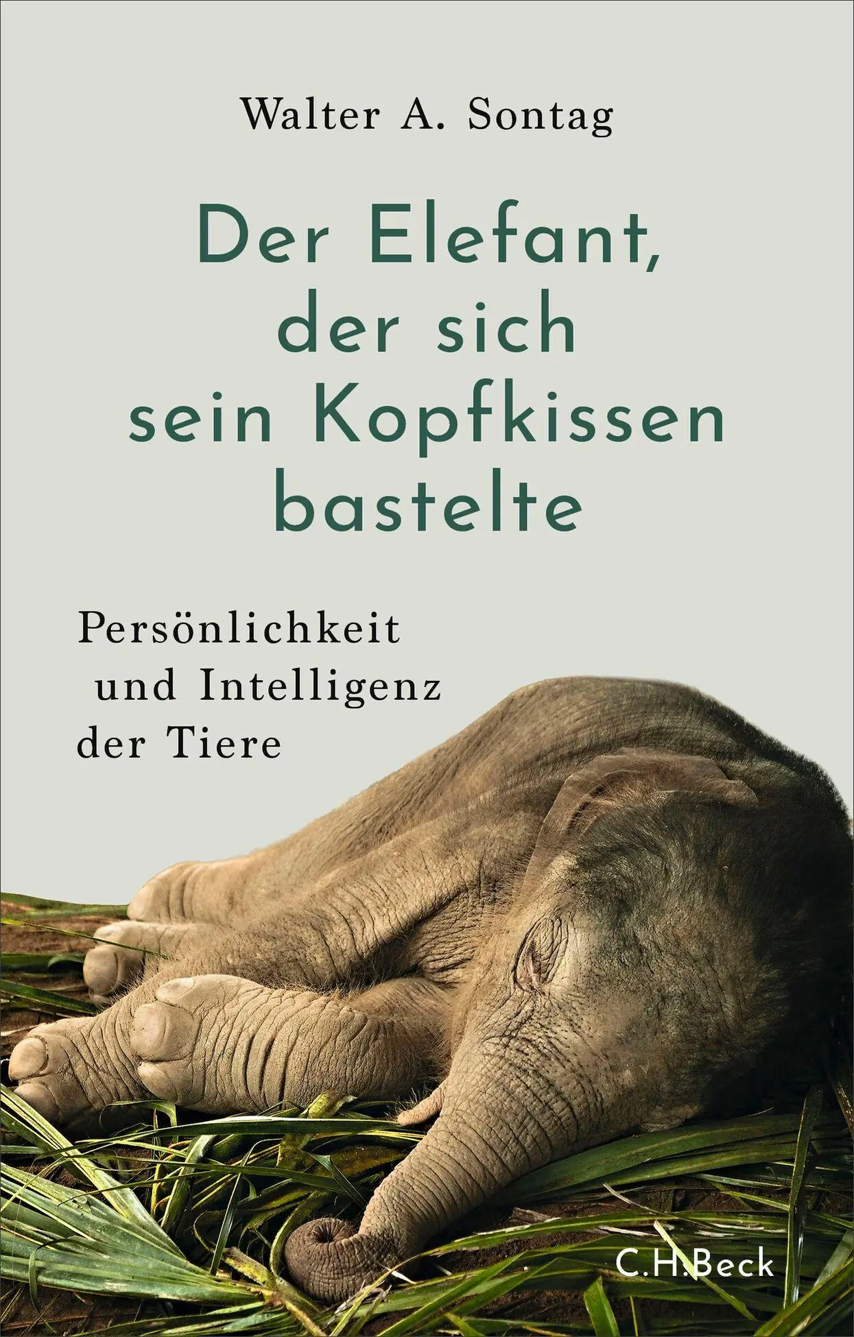 Cover: 9783406846908 | Der Elefant, der sich sein Kopfkissen bastelte | Walter A. Sontag