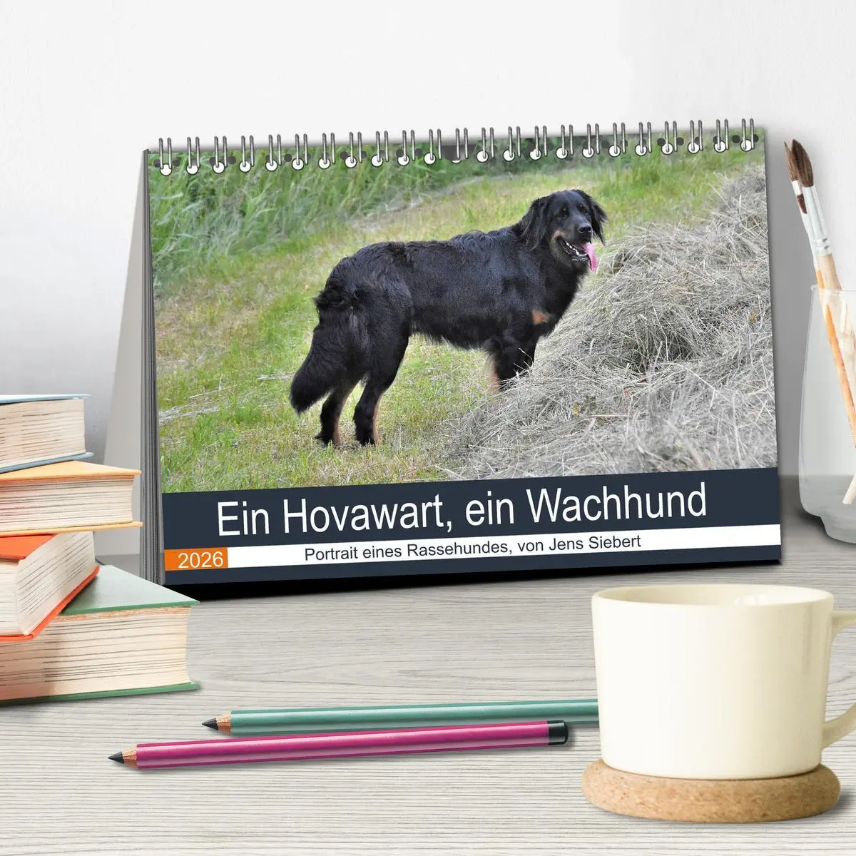 Bild: 9783457716908 | Ein Hovawart, ein Wachhund (Tischkalender 2026 DIN A5 quer),...