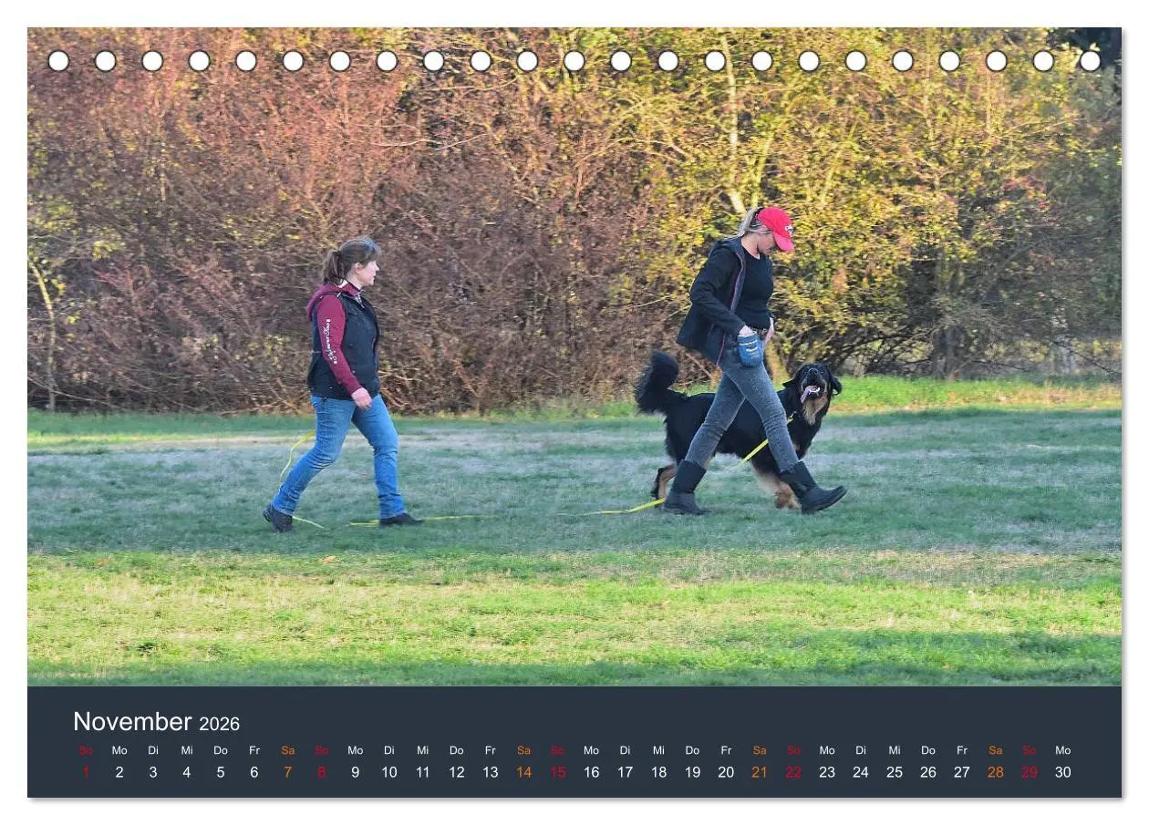 Bild: 9783457716908 | Ein Hovawart, ein Wachhund (Tischkalender 2026 DIN A5 quer),...