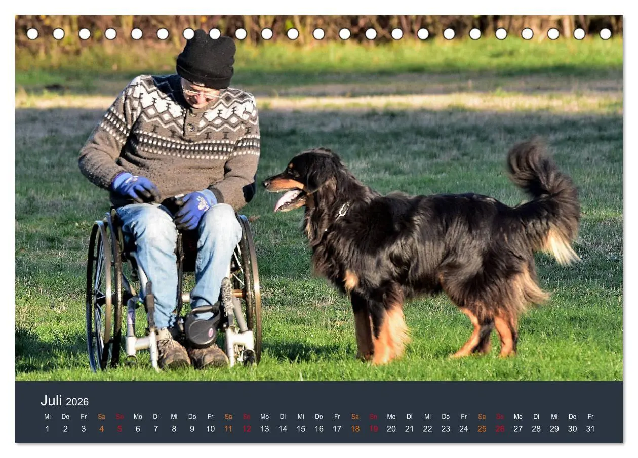 Bild: 9783457716908 | Ein Hovawart, ein Wachhund (Tischkalender 2026 DIN A5 quer),...