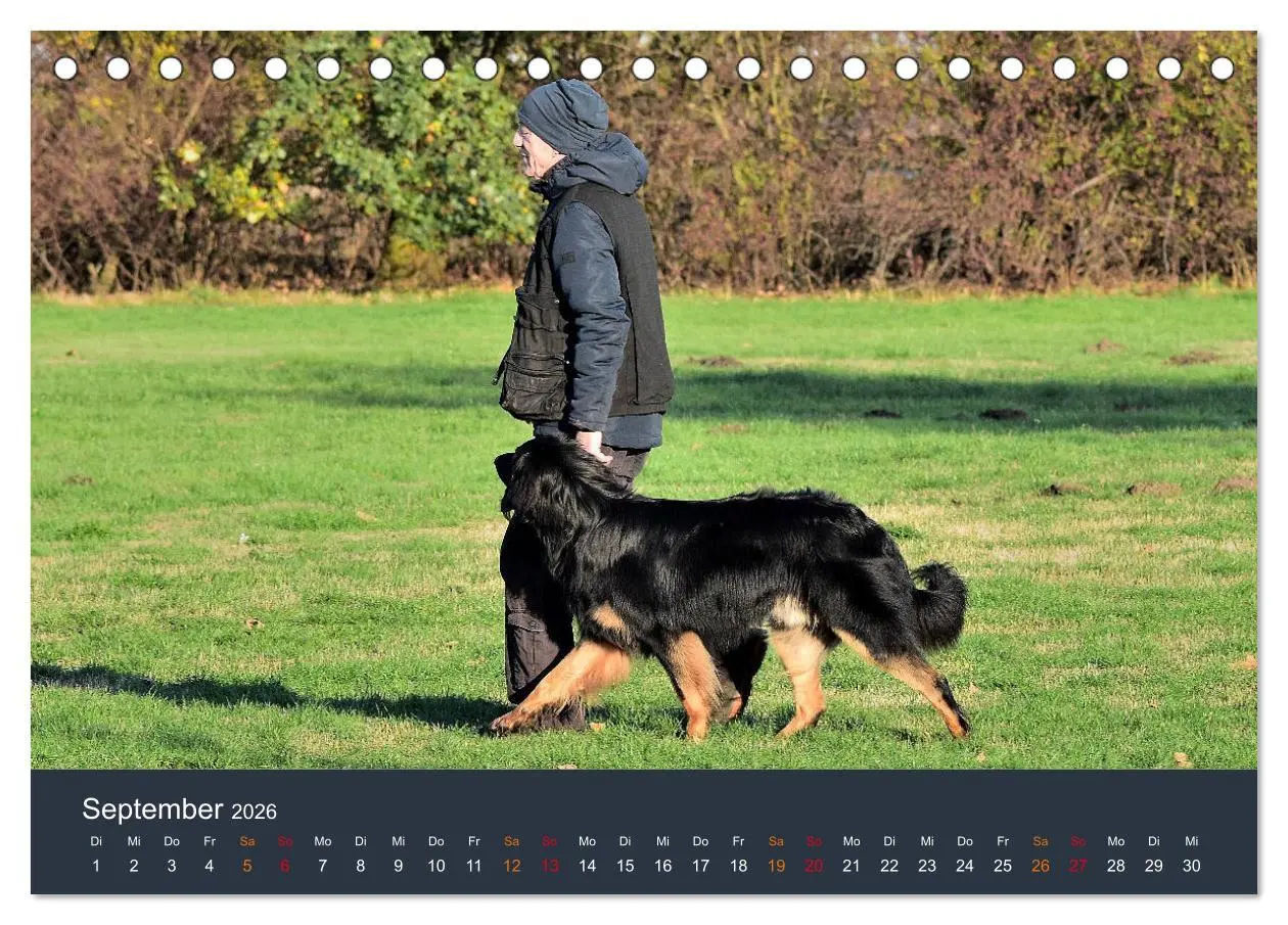 Bild: 9783457716908 | Ein Hovawart, ein Wachhund (Tischkalender 2026 DIN A5 quer),...