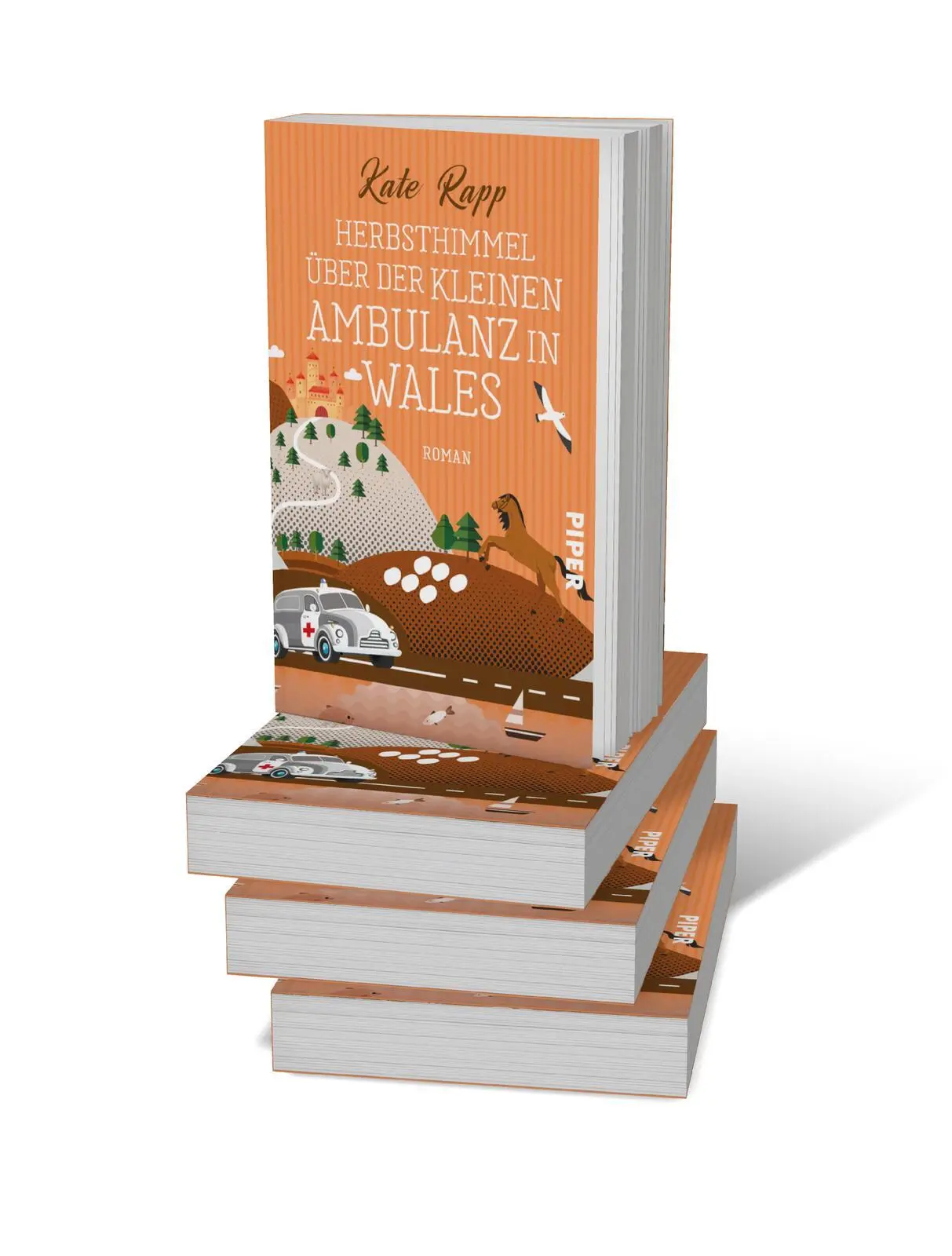 Bild: 9783492506908 | Herbsthimmel über der kleinen Ambulanz in Wales | Kate Rapp | Buch