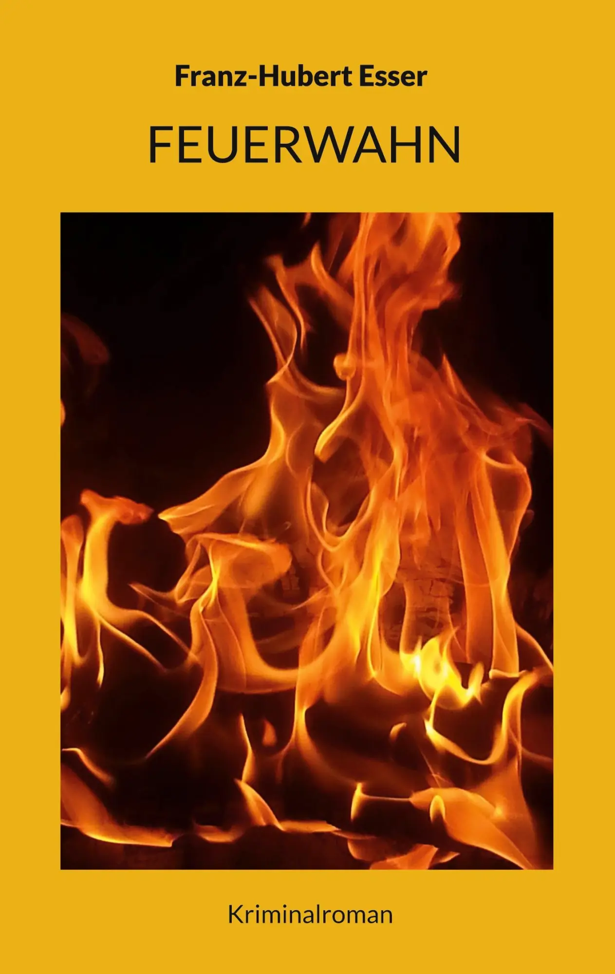 Cover: 9783769356908 | Feuerwahn | Kriminalroman | Franz-Hubert Esser | Taschenbuch | 324 S.