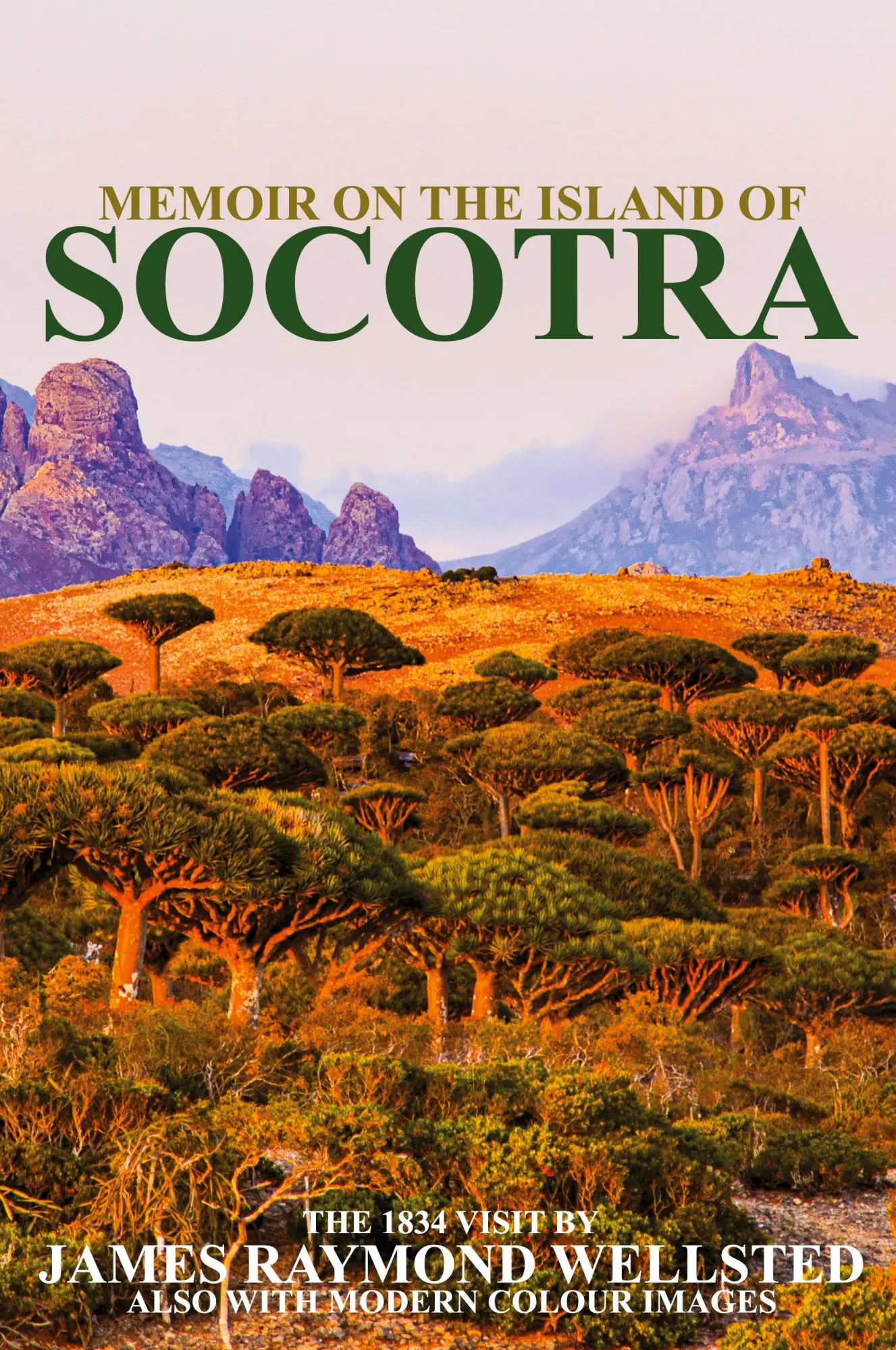Cover: 9781998997008 | SOCOTRA | MEMOIR ON THE ISLAND OF SOCOTRA | James Wellsted | Buch