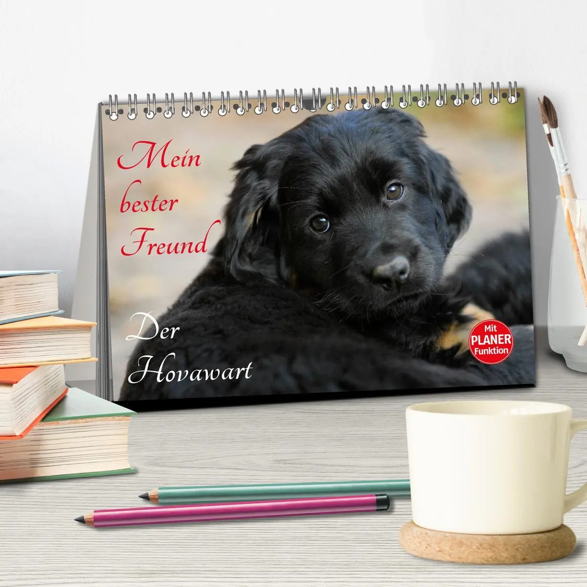 Bild: 9783516007008 | Mein bester Freund - Der Hovawart (Tischkalender 2026 DIN A5 quer),...