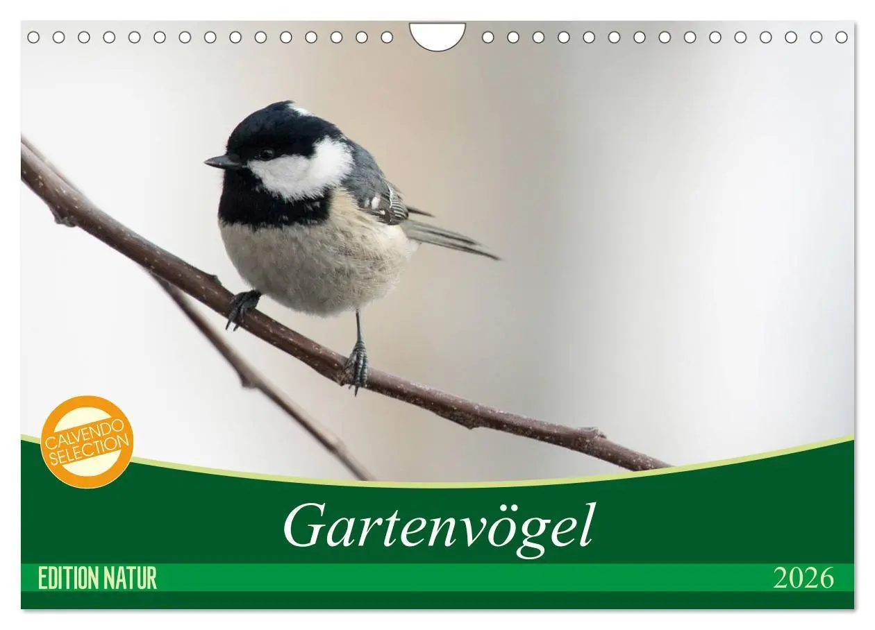 Cover: 9783516177008 | Gartenvögel (Wandkalender 2026 DIN A4 quer), CALVENDO Monatskalender