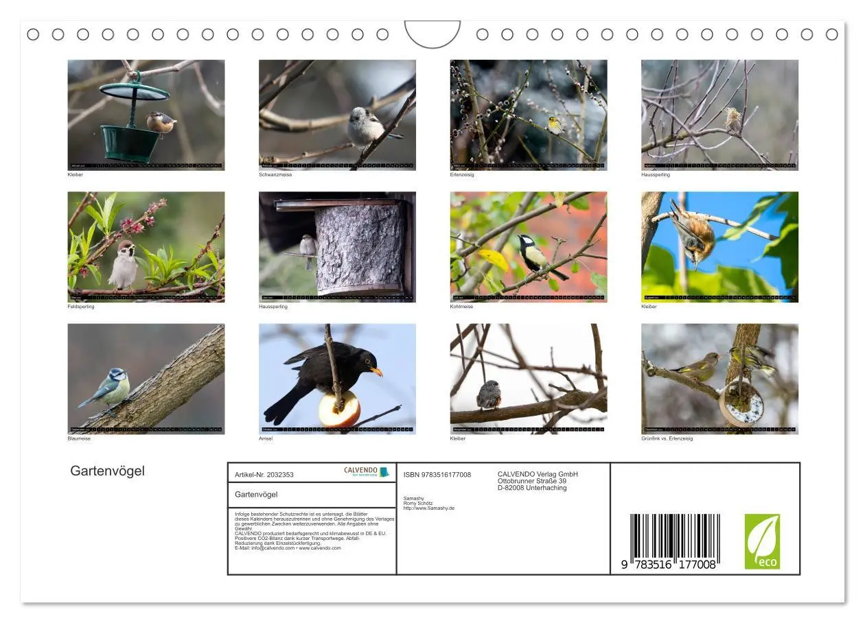 Bild: 9783516177008 | Gartenvögel (Wandkalender 2026 DIN A4 quer), CALVENDO Monatskalender