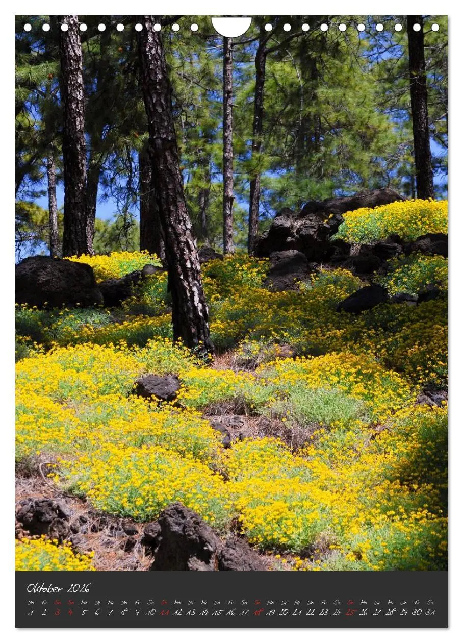 Bild: 9783516487008 | TENERIFFA (Wandkalender 2026 DIN A4 hoch), CALVENDO Monatskalender