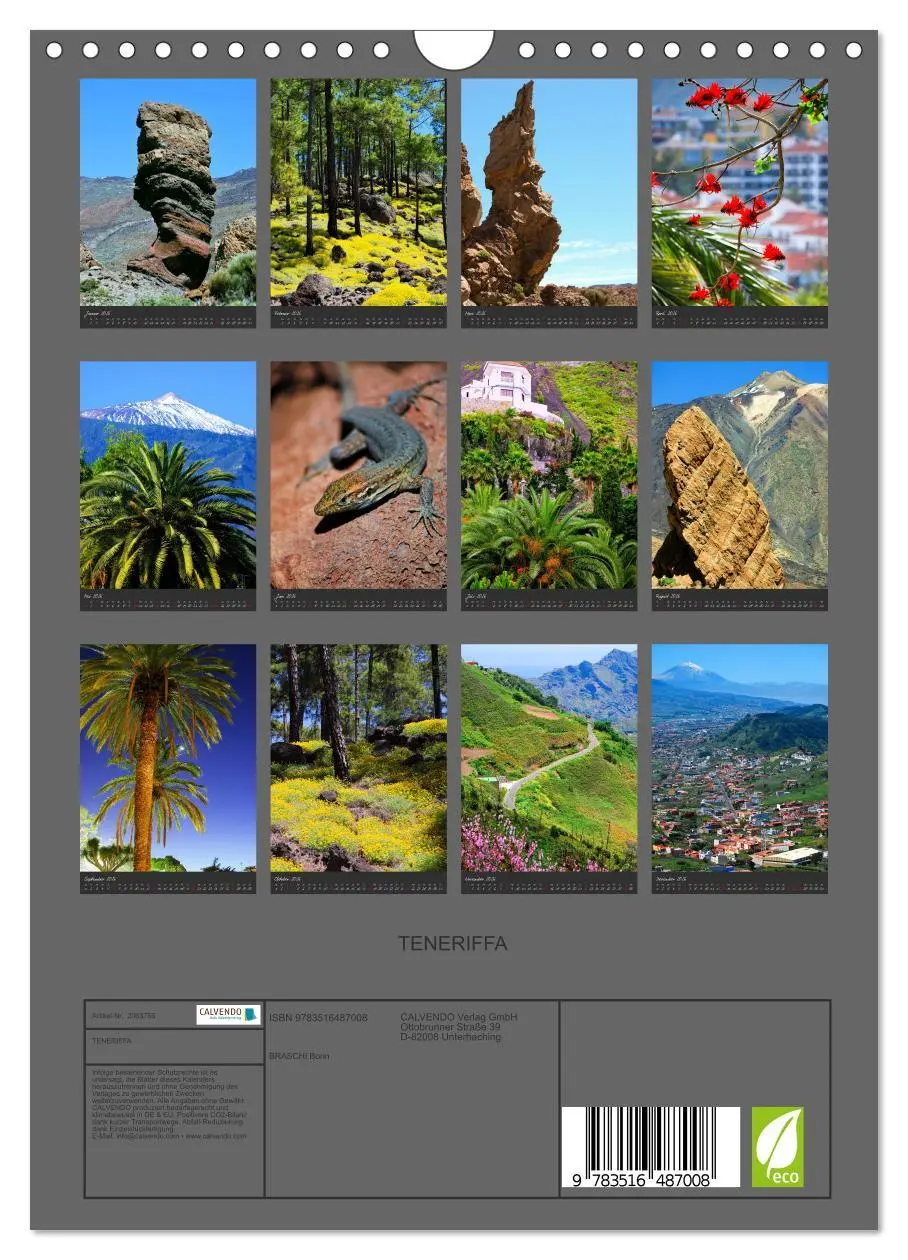 Bild: 9783516487008 | TENERIFFA (Wandkalender 2026 DIN A4 hoch), CALVENDO Monatskalender