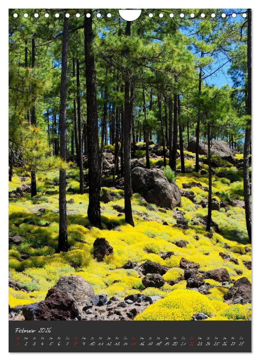 Bild: 9783516487008 | TENERIFFA (Wandkalender 2026 DIN A4 hoch), CALVENDO Monatskalender