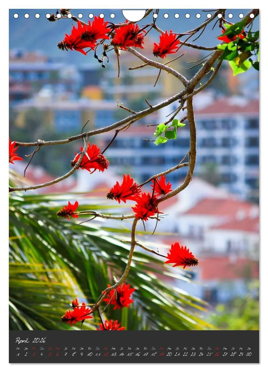 Bild: 9783516487008 | TENERIFFA (Wandkalender 2026 DIN A4 hoch), CALVENDO Monatskalender