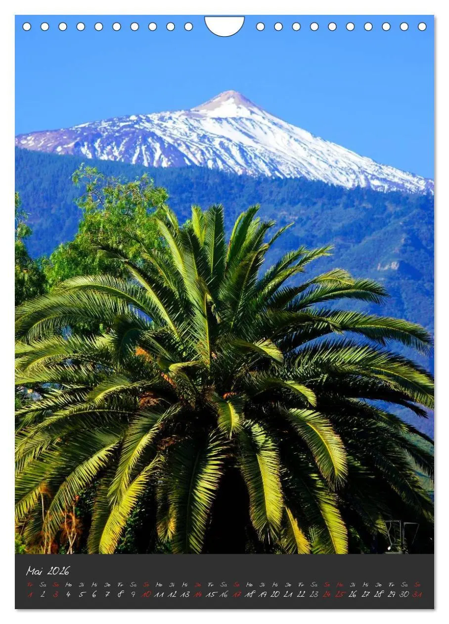 Bild: 9783516487008 | TENERIFFA (Wandkalender 2026 DIN A4 hoch), CALVENDO Monatskalender