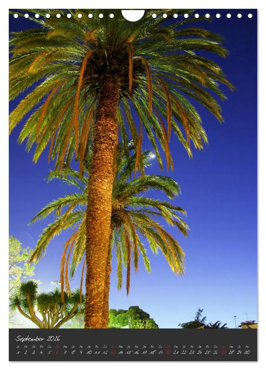Bild: 9783516487008 | TENERIFFA (Wandkalender 2026 DIN A4 hoch), CALVENDO Monatskalender
