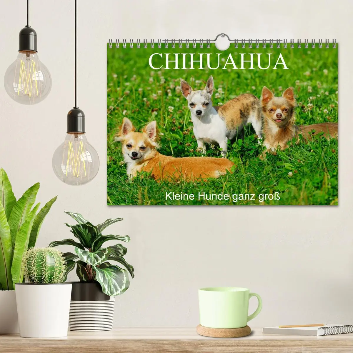 Bild: 9783516167108 | Chihuahua - Kleine Hunde ganz groß (Wandkalender 2026 DIN A4 quer),...