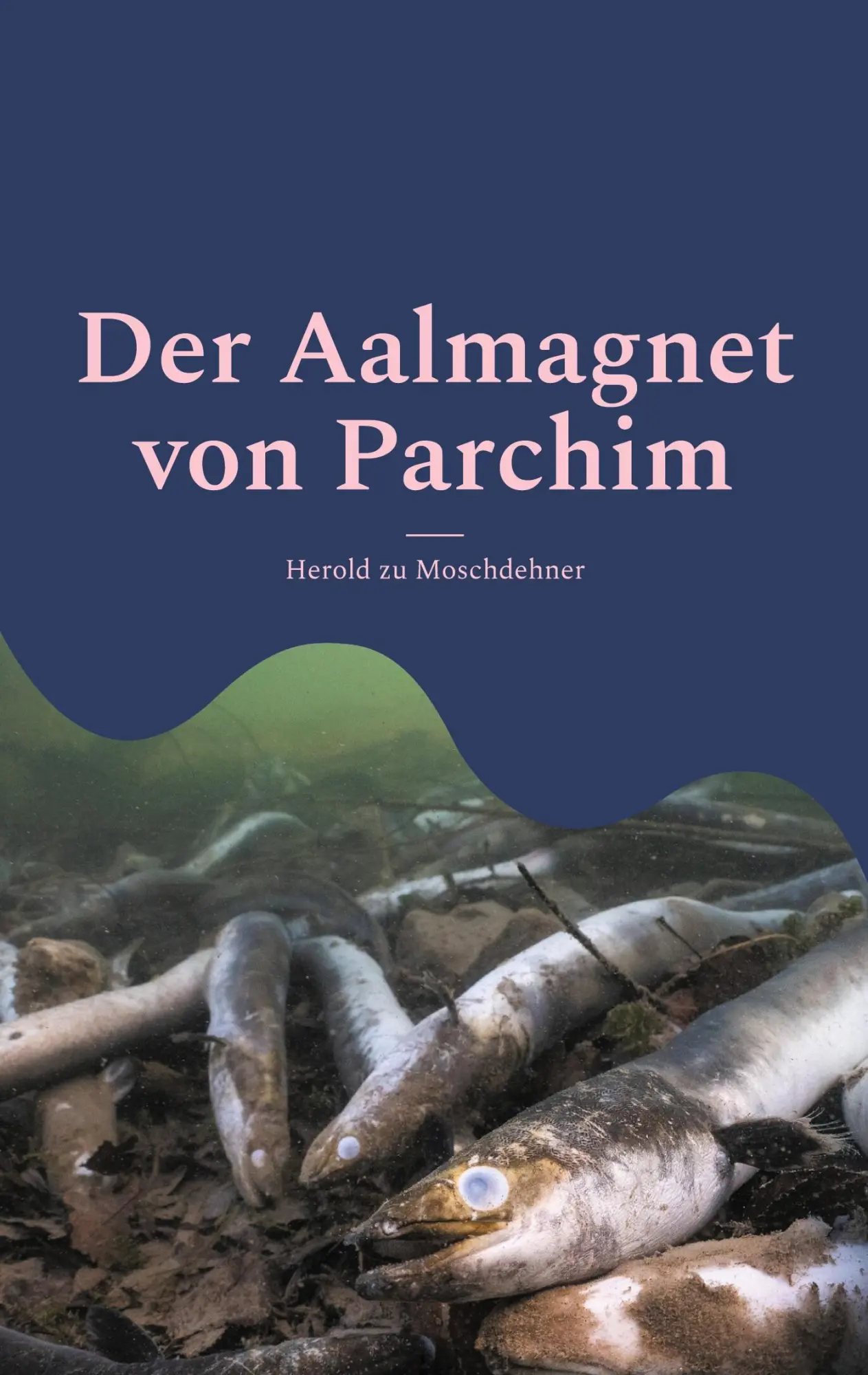 Cover: 9783769307108 | Der Aalmagnet von Parchim | Vom Wunderkind zum Geächteten | Buch