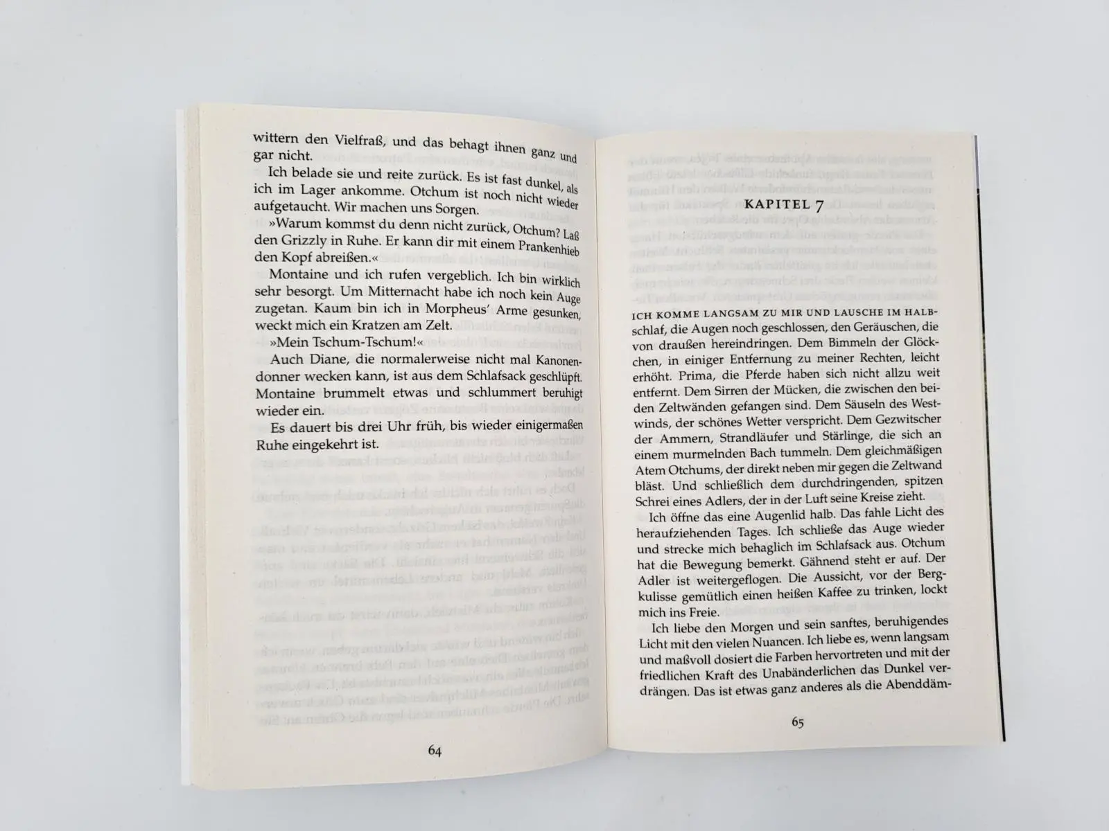 Bild: 9783492237208 | Das Schneekind | Nicolas Vanier | Taschenbuch | 352 S. | Deutsch